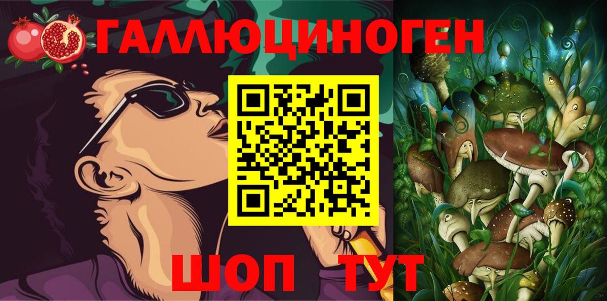 закладка  Вход с VPN  Северодвинск  Галлюциногенные грибы Psilocybe 