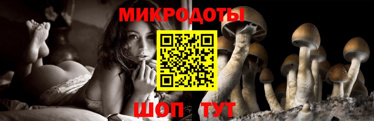 Псилоцибиновые грибы Psilocybe Северодвинск